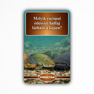 Melyik európai édesvízi halfaj látható a képen? - NFC Kártya