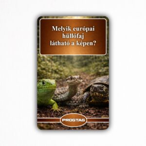 Melyik európai hüllőfaj látható a képen? - NFC Kártya