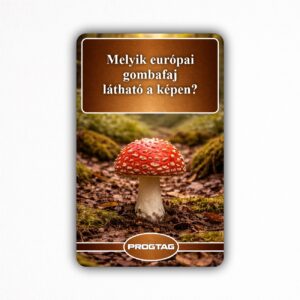 Melyik európai gombafaj látható a képen? - NFC Kártya