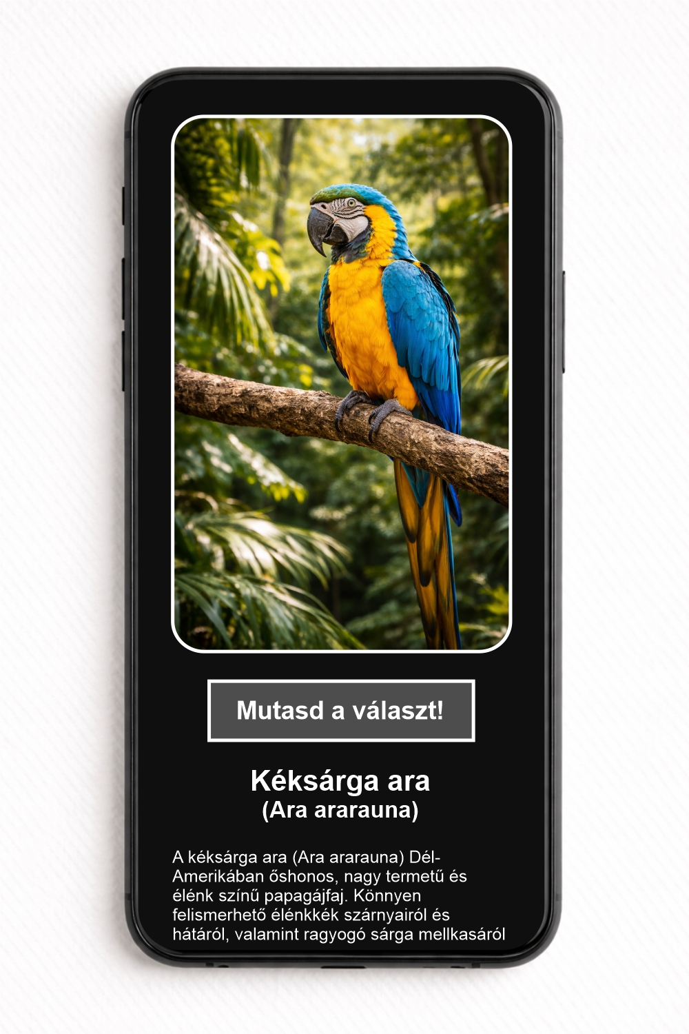 Melyik madárfaj látható a képen? - NFC Kártya - Image 2