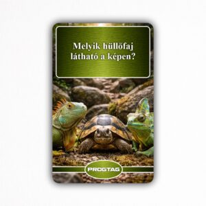 Melyik hüllőfaj látható a képen? - NFC Kártya