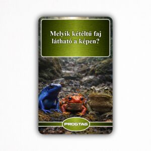 Melyik kétéltű faj látható a képen? - NFC Kártya