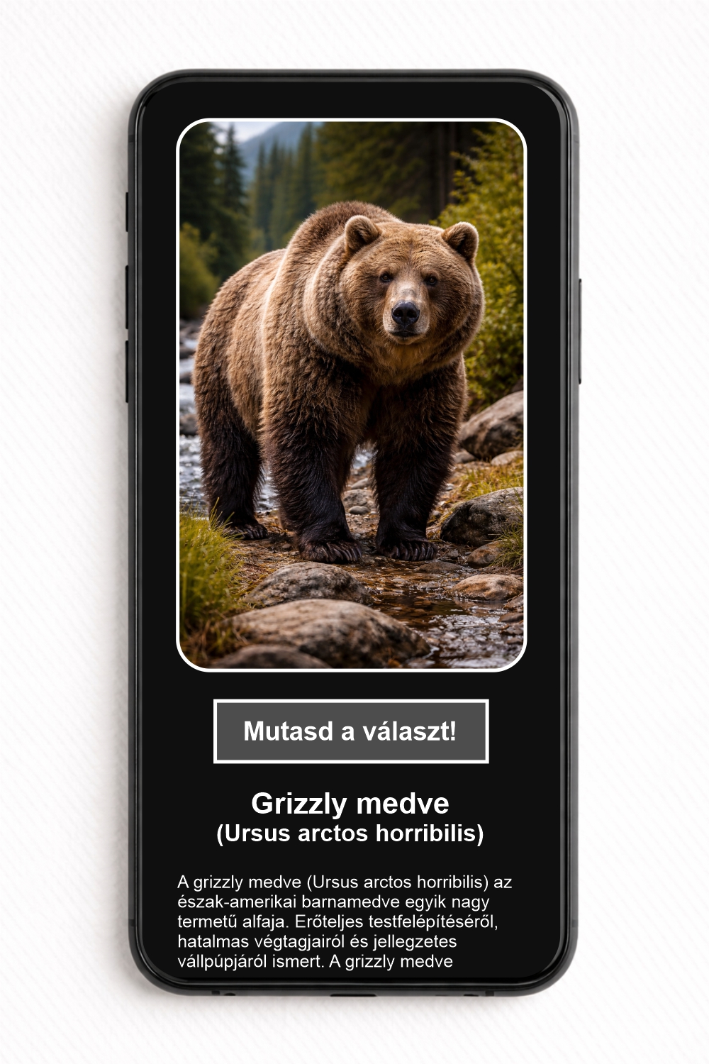 Melyik emlősfaj látható a képen? - NFC Kártya - Image 2