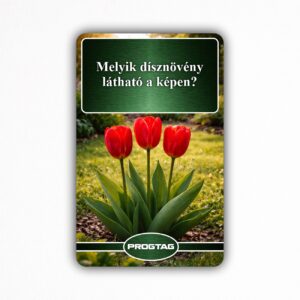 Melyik dísznövény látható a képen? - NFC Kártya