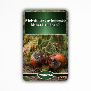 Melyik növénybetegség látható a képen? - NFC Kártya