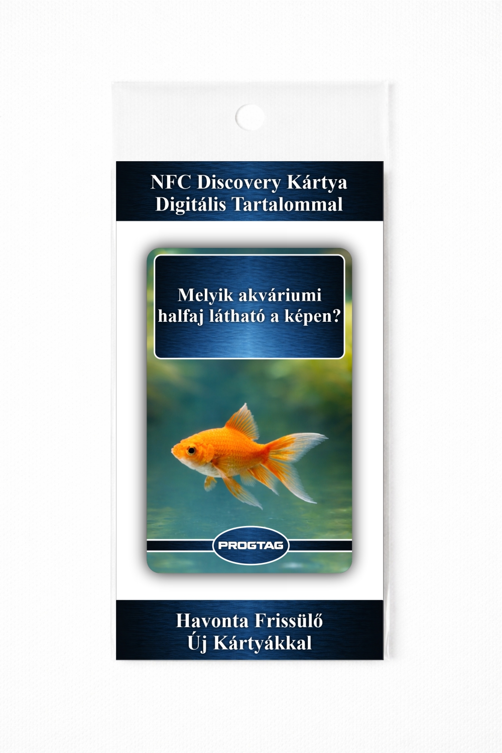 Melyik akváriumi halfaj látható a képen? - NFC Kártya - Image 3