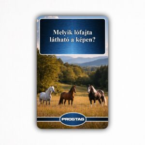 Melyik lófajta látható a képen? - NFC Kártya